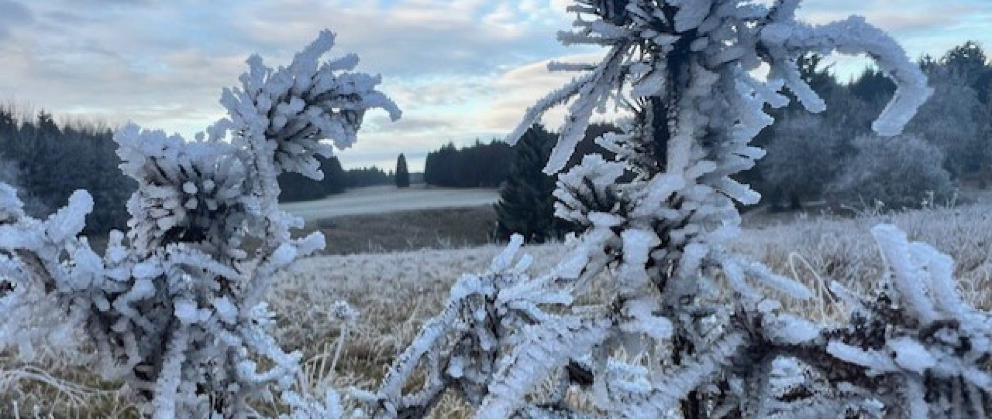 Schwäbischer Albverein | Ortsgruppe Seißen